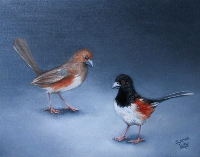 Contemplation: Towhee Pair